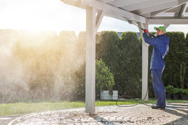 Best Roof Washing  in Temperance, MI